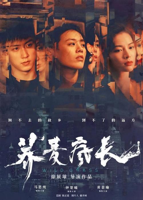高中学历证书查询不到原因